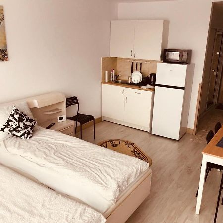 Studio 1O1O1 Lejlighed Piatra Neamţ Eksteriør billede